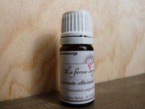 lavande fine, huile essentielle bio
