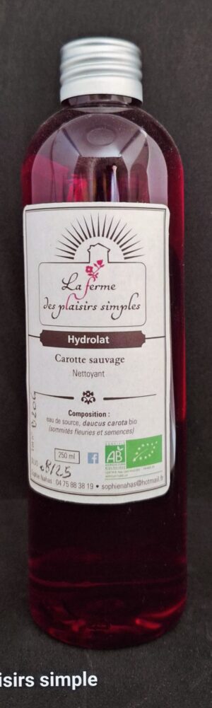 Carotte sauvage hydrolat bio de